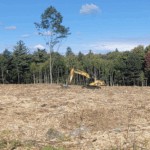 land reclaiming through forest mulching