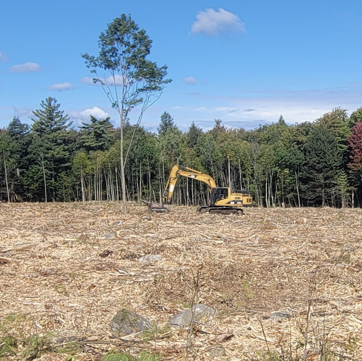 land reclaiming through forest mulching