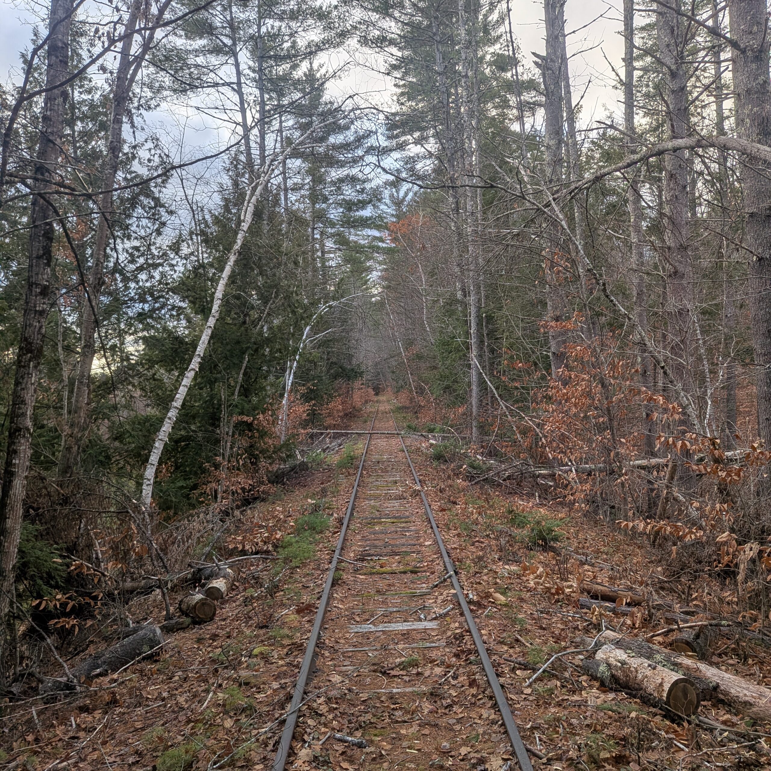 Historic rail line last maintained in 1940s